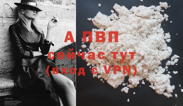 ПСИЛОЦИБИНОВЫЕ ГРИБЫ Бабаево