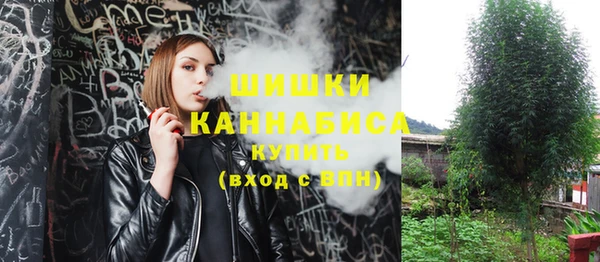 шишки Нефтегорск