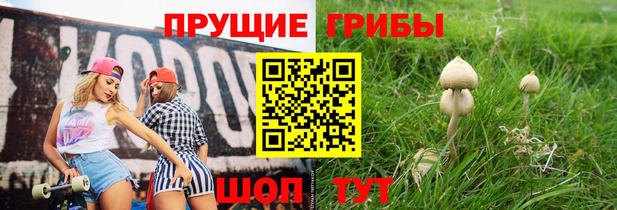 Галлюциногенные грибы ЛСД  Псилоцибиновые грибы Psilocybine cubensis  купить наркотик  Вход с VPN  Магнитогорск 